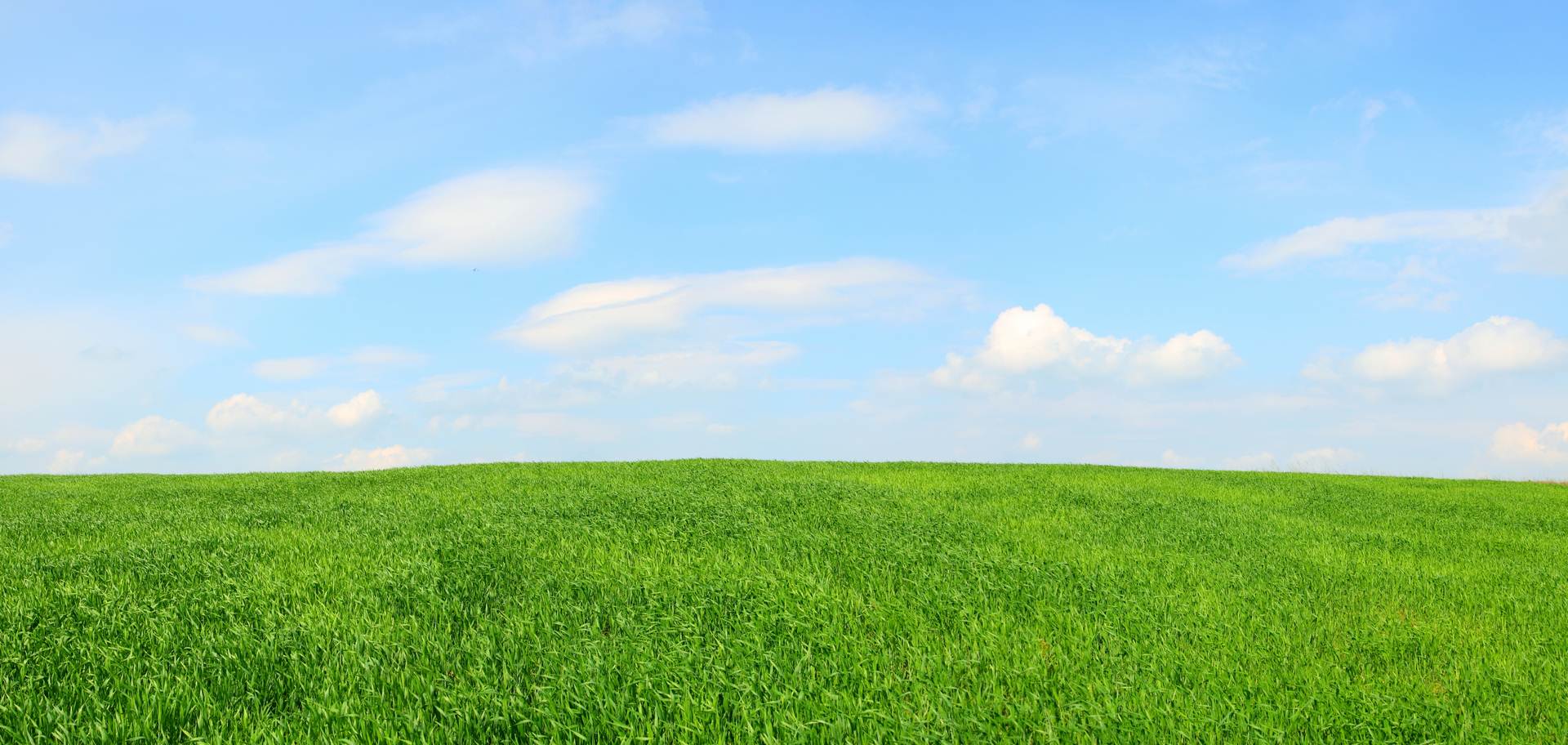 Panorama images small png vtex c. Поле панорама. Трава панорама. Панорама небо трава. Зеленое поле панорама.